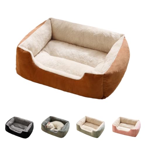 SJGEIDM \t@xbh R[fCxbg (TCYL 60×45,F̎lp)