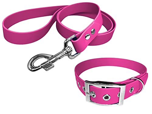 L'Atelier du Fourmilier Dog Collar and Leash in BioThane material, Medium Width (45-55 cm, Fuchsia), 45-55cm