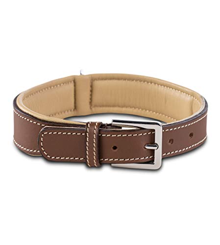Jack & Russell Premium Perro Cuero Collar Amy - Collar de Cuero Genuino con Grabado Original de J & R Sello en Relieve - Robusto y Elegante (XL - Circunferencia del Cuello 53,5-62,0 cm, Marrón/Beige) Cover