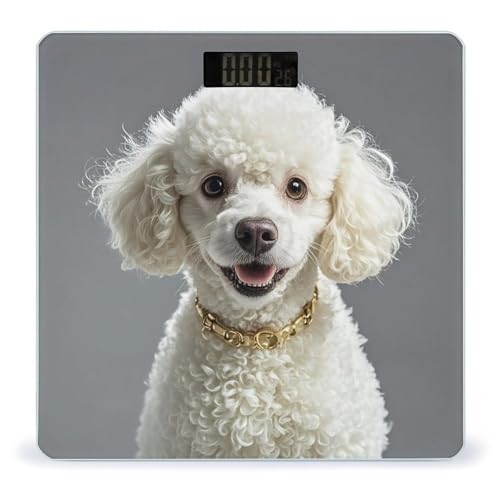 Báscula digital francesa para baño de vidrio templado miniatura 1