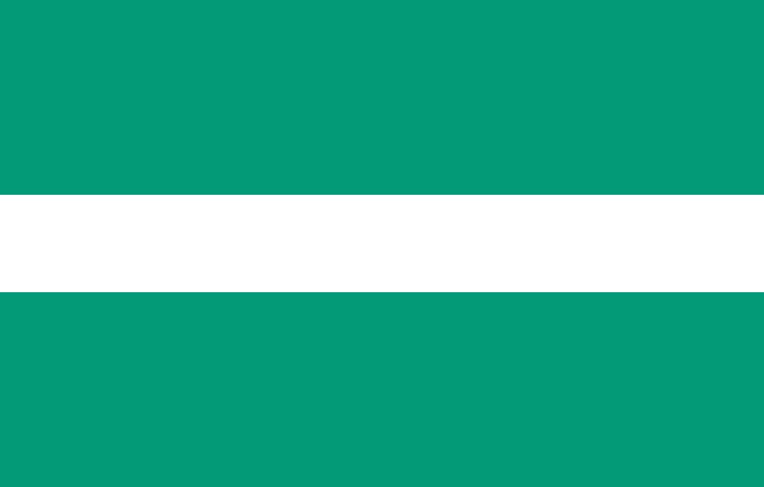 Drapeau XL de Valga pavillon historique de l'ancienne municipalité
