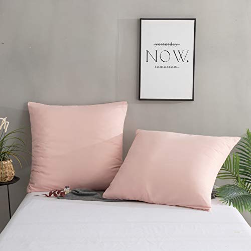 QZY Juego de 2 fundas de almohada de alta calidad con cremallera, 100% microfibra, Rosa, 80 x 80 cm