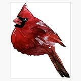 Red Cardinal Bird Sticker Decal Laptop Car Window Vinyl 5"