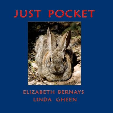 Just Pocket 1607023709 Book Cover