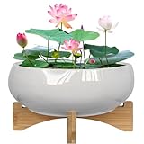 MUZHI White Ceramic Water Lotus Bowl Planter Pot with Bamboo Stand 7.8”, Lotus Shape Hydroponic Water Lily Flower Pot Planter No Drainage Hole