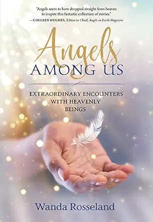 Angels Among Us book cover