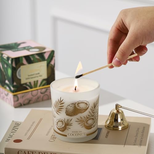ROMIIE ZOI Vela perfumada – Coco – 170 g Aromaterapia Cera de Soja Vela para Casa, Presentes para Mu