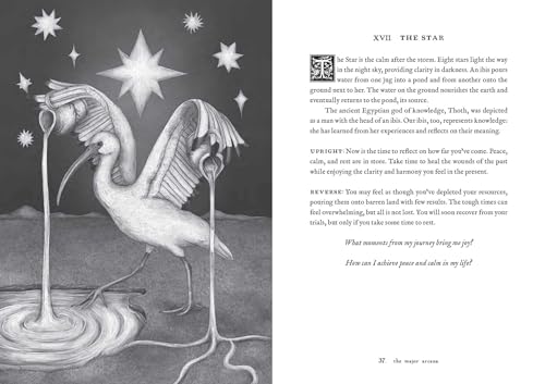 Tarot Of The Woodland Wardens: 78-Card Deck & Guidebook - 12