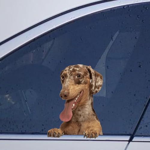 Image of Dachshund Car Window Decal - Animal Pet Vinyl Stickers - Funny Bumper Stickers for Laptop Gift to Dog Lover