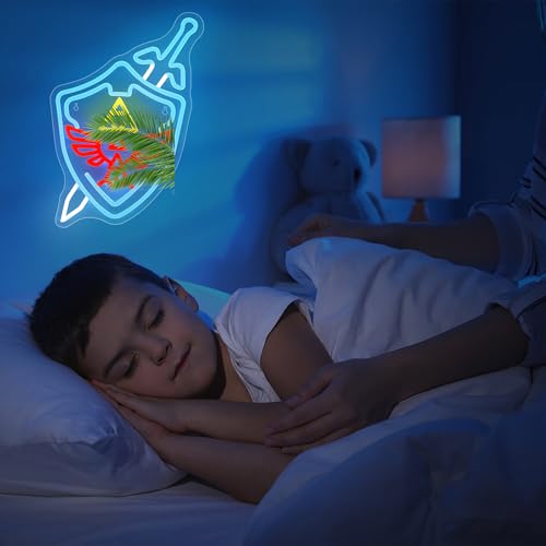 Image of Gaming Neon Sign,Sword Shield LED Sign,Neon Signs for Game Room,Man Cave,Gamer Gifts for Game Fans,Teen Boys,USB Powered Signs for Wall Decor,Size16.53 * 11.02in(XD031)