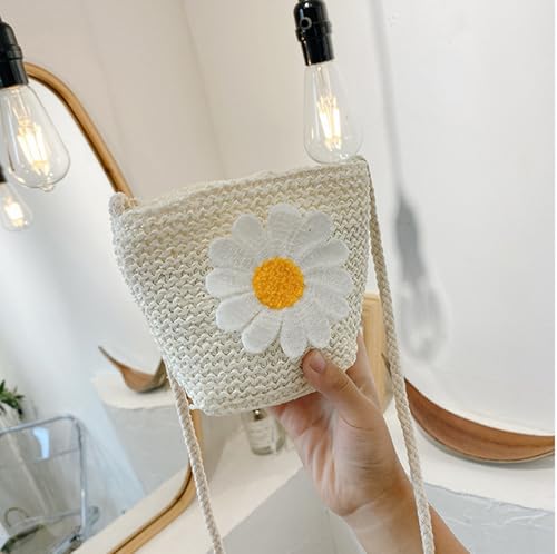 Women Girls Mini Crochet Crossbody Purse, Cute Straw Beach Shoulder Bag Small Wallet Pouch Hangbag2