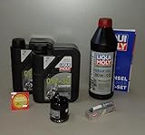 Motor Fun Sports