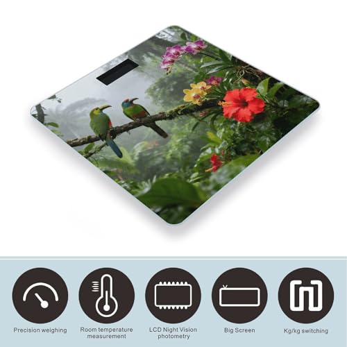Báscula Digital de Baño Precisa y Estable con Pantalla LCD miniatura 3