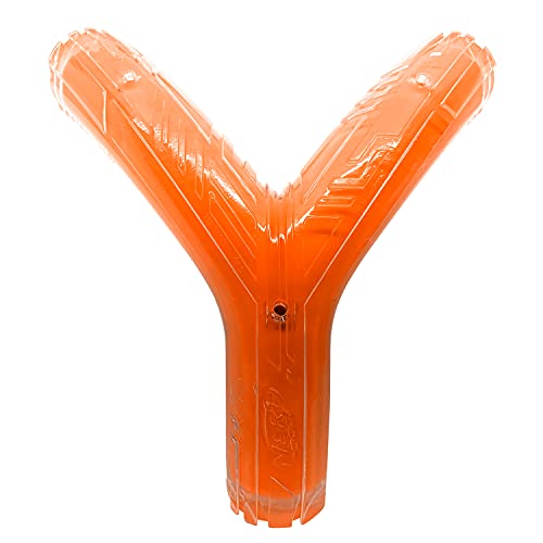 NERF Dog Scentology Jouet pour Chien Cover