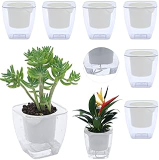 DeEFL 6 Packs 4.1 Inches Clear Self Watering Planters Plastic Plant Pots Wick Flower Pots for Indoor Plants, African Violet, Ocean Spider Plant, Orchid Pot, Clear and White