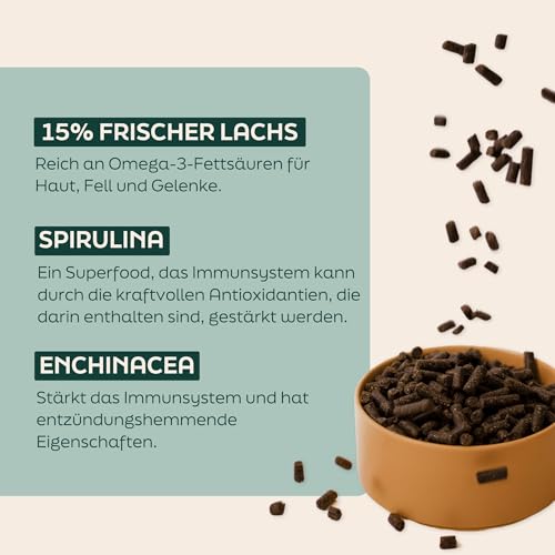 WOOOF Lachs & Kartoffel 18kg kaltgepresstes, getreidefreies und hypoallergenes Hundefutter | Trockenfutter, leicht verdaulich, ohne Weizengluten