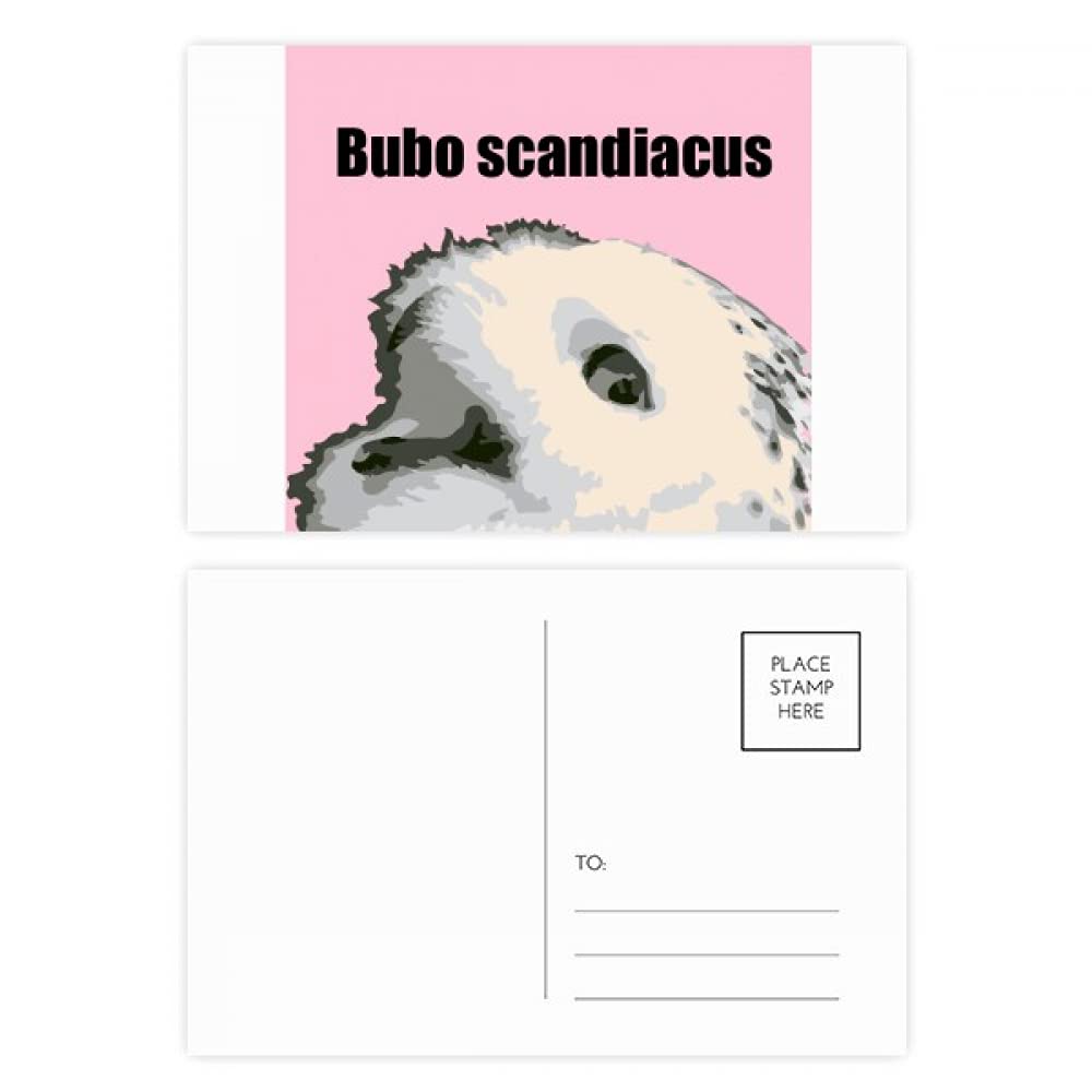 Bubo Scandiacus Bird White Postcard Set Birthday Mailing Thanks Greeting Card
