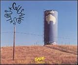 I'd Love to Save the World