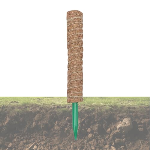 de Pole Moss - Bâtons de Support Coir Totem Amovibles, Inserts de Jardin Extensible | Treillis House Rendement avec Barres en Fibre Naturelle Grimpe Verdure et Vigne Pothos Philodendron à