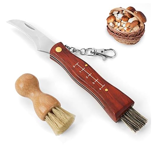 GVDV Coltello per Funghi Con Spazzola, Manico in Legno, Spazzola in Setola di Cinghiale
