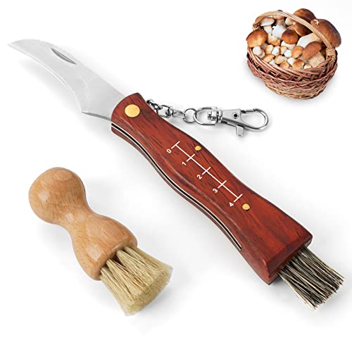 GVDV Pilzmesser mit Bürste und Lineal, Champignon/Trüffel Taschenmesser Klappmesser, Pilzbürste mit Wildschweinborsten, Geschenk für Pilzsammler