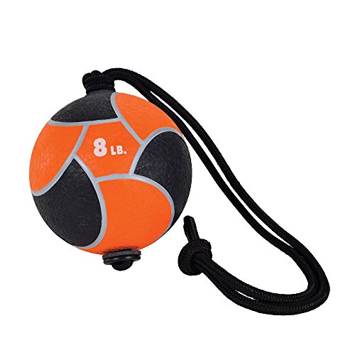 Power Systems Power Rope Medicine Ball