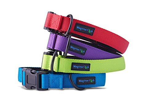 Classic Comfort Dog Collar Premium Nylon Neoprene Padded Dog Collar for Large Sized Dog Comfortable Collar for Your Dog by Wagtime Club. (Bright Blue) L