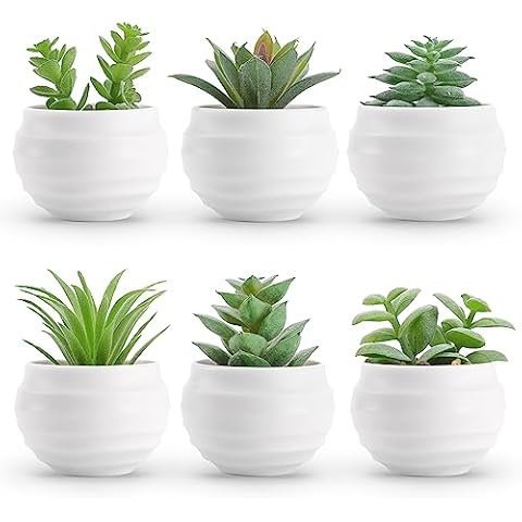 Der Rose Set of 6 Small Artificial Plants in Pots Cover
