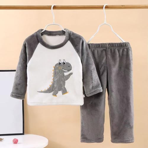 Toddler Baby Boys Girls 2-Piece Dinosaur Outfits Fleece Soft Tops Pants Set Kids Sweater Sweatpants Fall Winter Clothes2