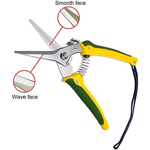 WHZSH Specialisten Resistant Foot Rot Shears Schapen Paard Bloemist Tuin Scherpe Schaar Kaken Hoof Shears Trimmen Prun… - Image 4