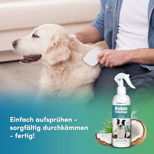 napfpower Fellpflege Hund mit Kokosduft (250 ml) – Entfilzungsspray & Fellglanzspray für einfache Kämmbarkeit – Fellspray für EIN staubfreies Hundefell - Entwirrt verknotetes Fell & pflegt sanft