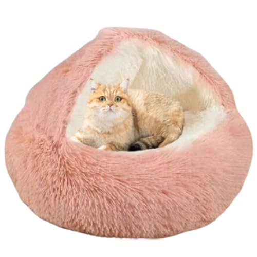 Jo[t^pxbhASn̗ǂLpAxbhAt[htJo[tEhqpxbhALp􂦂LpxbhA~ߒtqpxbhisNASj