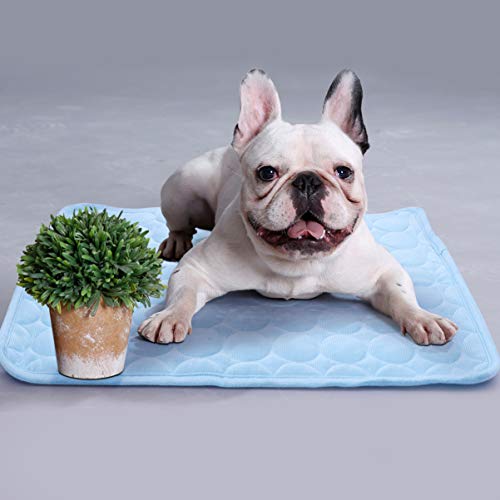 Tapete refrescante de verão POPETPOP Pets – cobertor para cães autorresfriante para cama fresca para