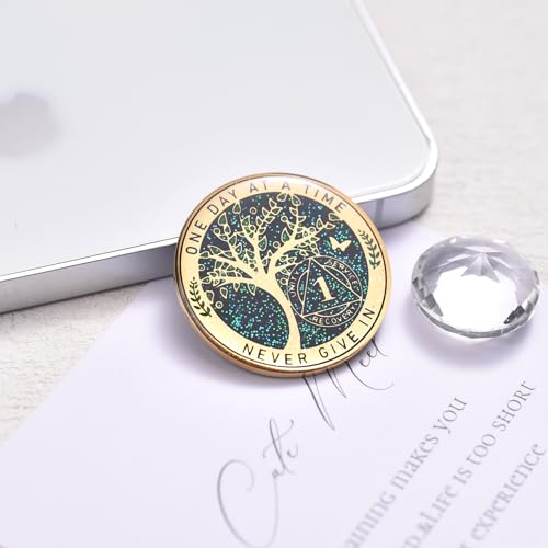 lparkin 1 year sobriety coin tree of life recovery coin aa recovery medallion anniversary token sobriety gifts alcoholics anonymous medallion