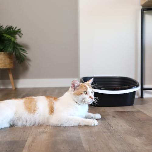 Arm & Hammer Large Sifting Litter Box Scoop Free Cat Litter Tray with Microban, Made in USA - image 6