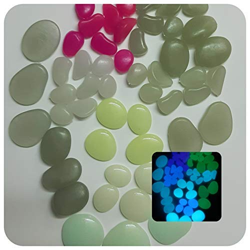 Radium Pebbles 100gm (B084P495L2) Amazon Price History, Amazon Price Tracker
