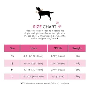 Leather Dog Collar for Small Medium Large Dogs, Soft Padded Dog Leather Collar with Heavy Duty Gold Buckle, Durable & Comfortable for Puppy Dogs Daily Walking (Hot Pink, XS)