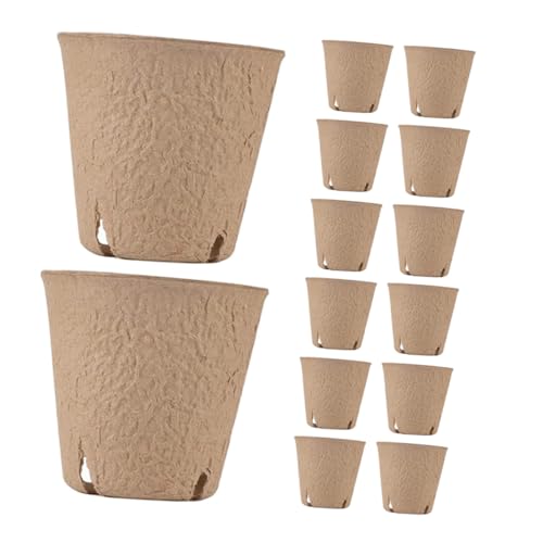 Abono Líquido Plantas Interior Marca TOYANDONA