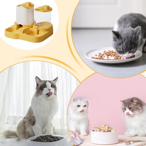 Mangeoire automatique chat gravité avec réservoir eau anti-goutte