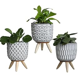 Macetas Con Patas Altas comforder Macetas con patas, juego de 3 unidades, color gris, decoración bohemia, macetas suculentas de cactus, macetas para plantas de interior