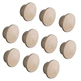 ahorn holzboden 20 Stück - Gedotec Möbel Abdeckkappen Holz für Blind-Bohrung Ø 10 mm