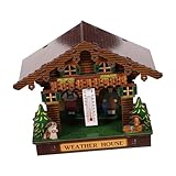 Construction durable : fabriquée à partir de , cette station météo est conçue pour durer et peut être utilisée à l'intérieur comme à l'extérieur, thermomètre de fenêtre extérieur, thermomètre suspendu pour four