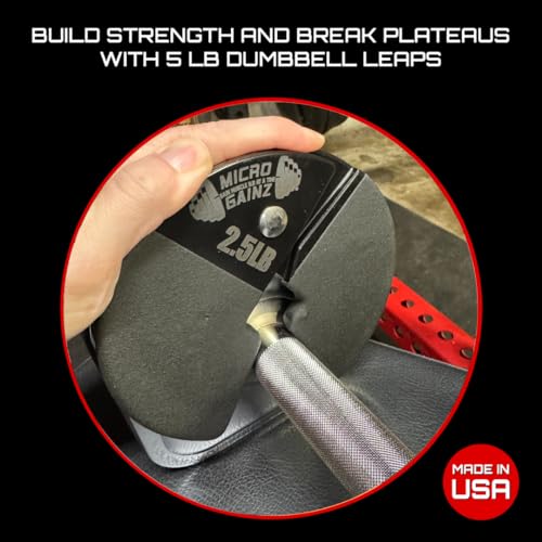 Image of Micro Gainz 2.5LB Dumbbell Fractional Weight Plates, 4-Piece