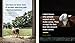 Ewe Do Ewe: Wisdom to Get You Through the Good, the Baaad, and Everything in Between