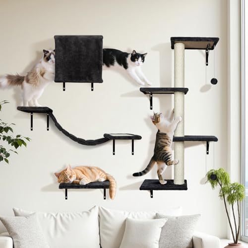 OZD Cat Wall Shelves, 10-Piece Set Wall Mounted Cat Furniture with Scratching Posts, 4-in-1 Modern Climbing Frame for Indoor Cats, DIY Activity Centre for Kittens, Black, Up to 10 Lbs