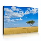アフリカの風景キャンバスウォールアート青空の壁の孤独な木のリビングルームまたはオフィスの写真モダンネイチャーシーンウォールデコレーション70x105cmインナーフレーム
