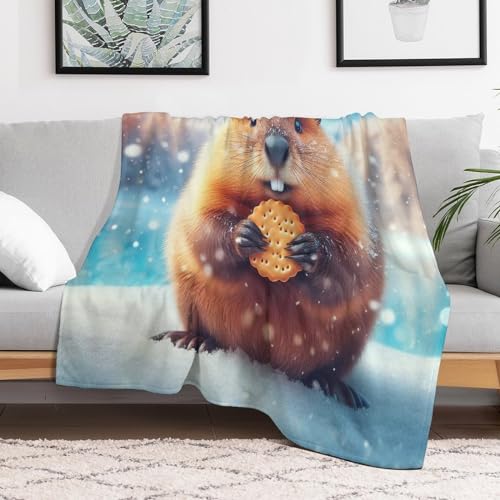 Manta para sofá de hámster mullida ideal para tardes de cine en invierno 3