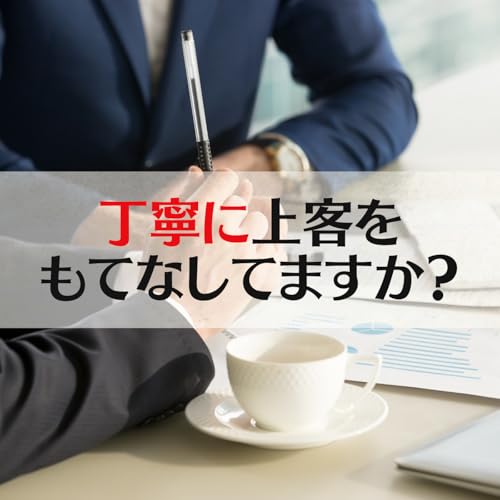 ICHIE CHA 静岡茶 つゆひかり 12本セット