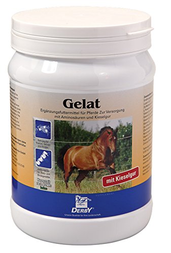 Derby Gelat 700g