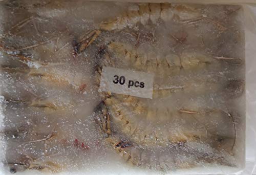 有頭 ブラックタイガー 1.3kg 30尾 アイスブロック 冷凍